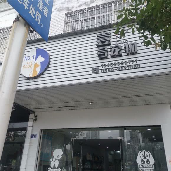 壹号宠物狗:南平市建瓯市