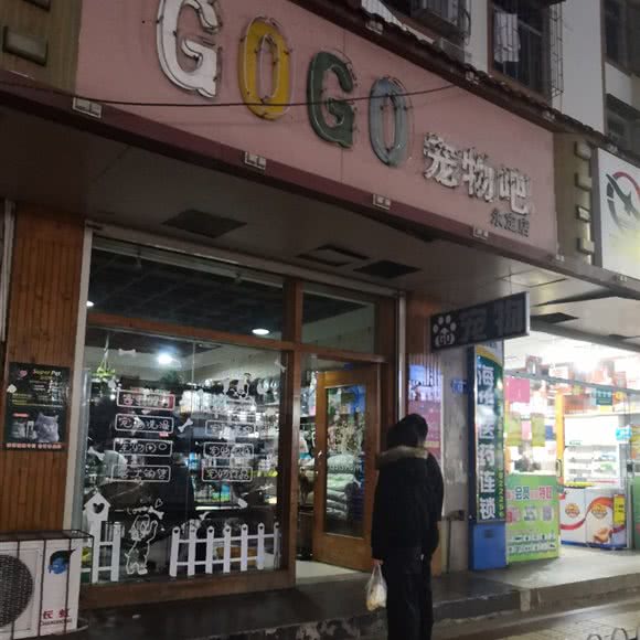 GOGO宠物吧(永定店):龙岩市永定区