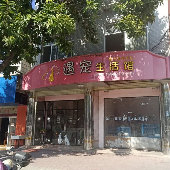 遇宠生活馆:龙岩市上杭县