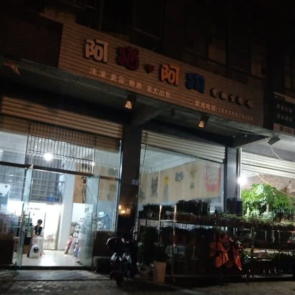 阿猫阿狗:宁德市寿宁县