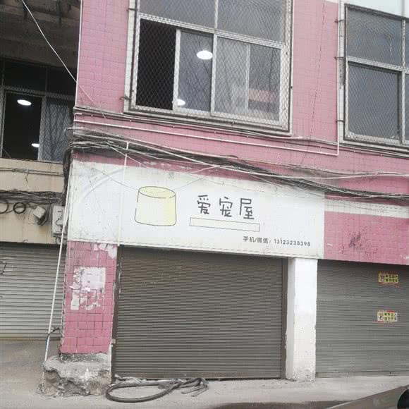 爱宠屋:宁德市福安市