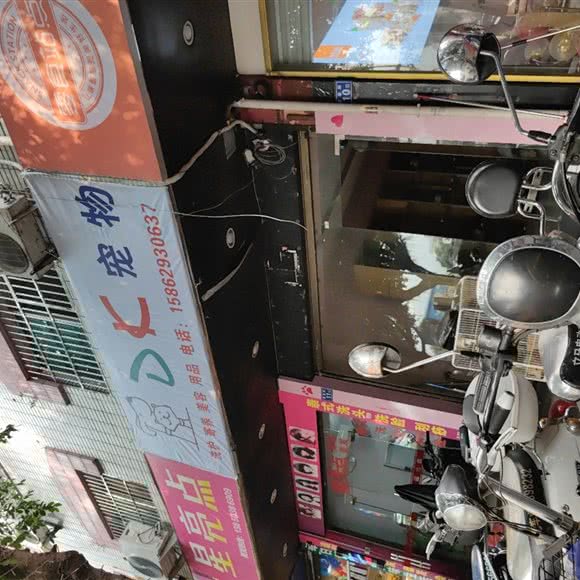 DK宠物:宁德市福安市