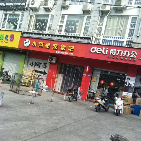 小阿哥宠物吧:宁德市福安市