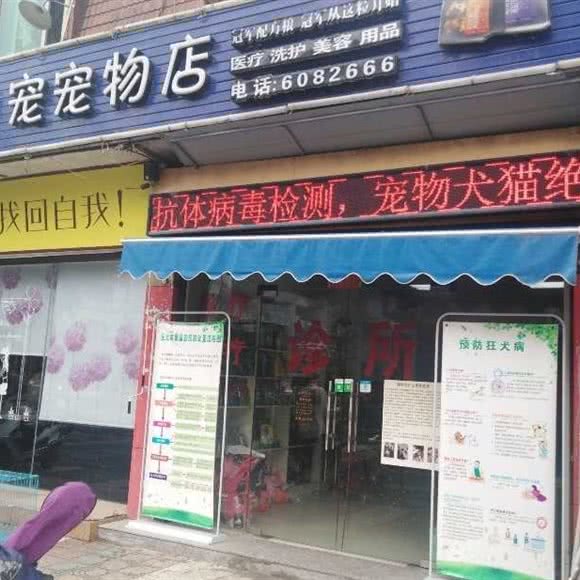 意宠宠物诊所:宁德市福安市