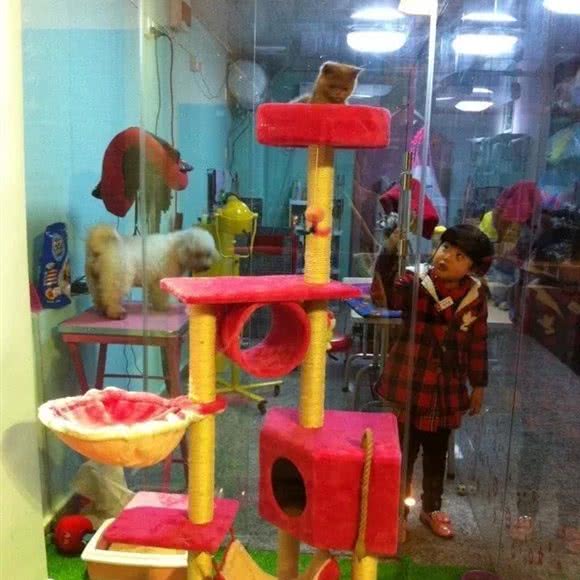 猫言狗语宠物会所:宁德市福鼎市