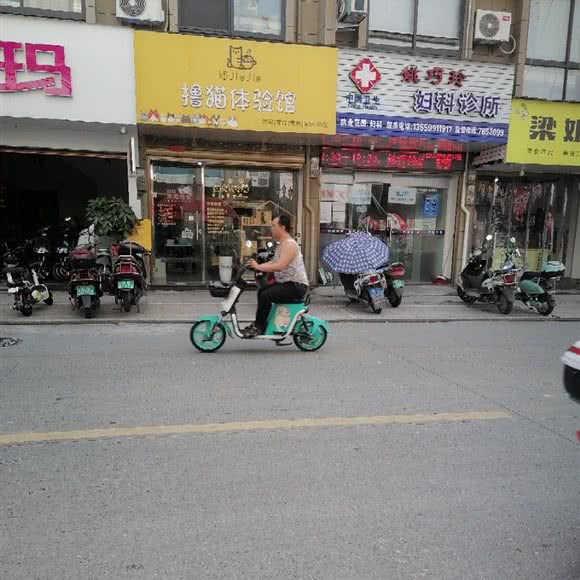 撸猫体验馆宠物:宁德市福鼎市