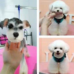 宠爱一生(二店):宁德市福鼎市