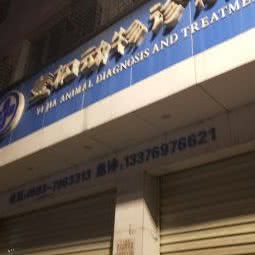 壹加动物诊所:宁德市福鼎市