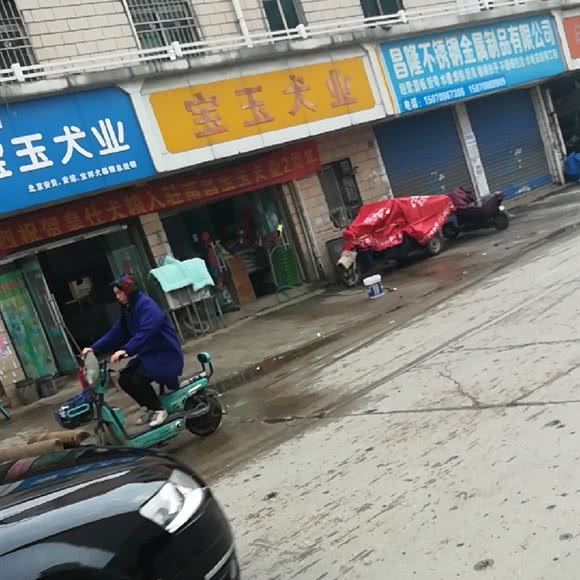 宝玉犬业:南昌市青山湖区