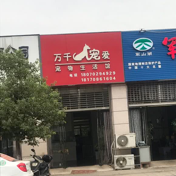 万千宠爱宠物生活馆:南昌市安义县