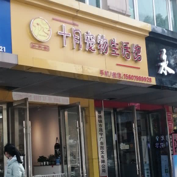 十月宠物生活馆:景德镇市昌江区