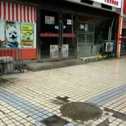 狗模狗样专业宠物出售:景德镇市珠山区