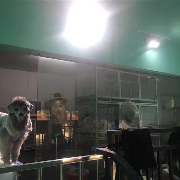 萌宠日记(新枫园店):景德镇市珠山区