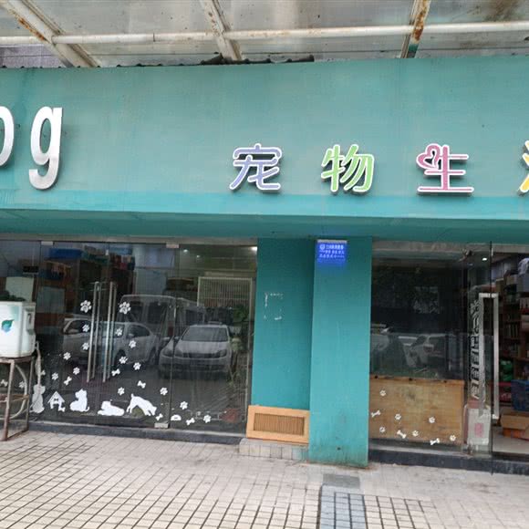mrdog宠物:景德镇市珠山区