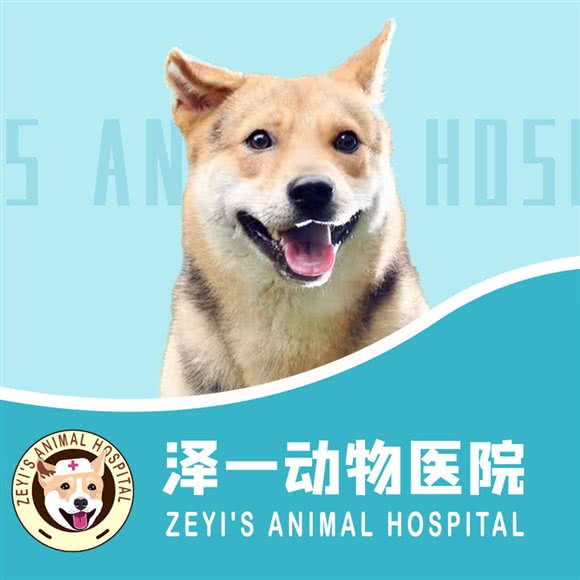 泽一动物医院:景德镇市珠山区