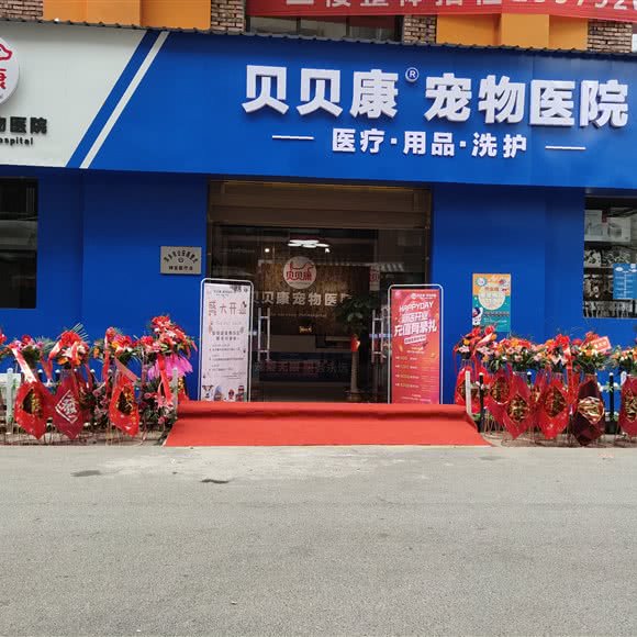 贝贝康宠物医院:萍乡市安源区