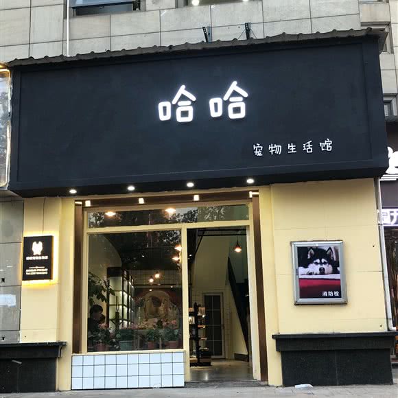 哈哈宠物生活馆:九江市濂溪区