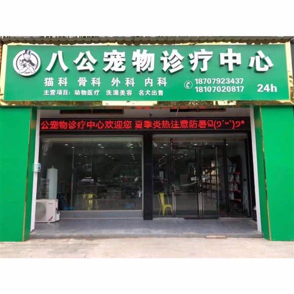 八公宠物医院:九江市柴桑区