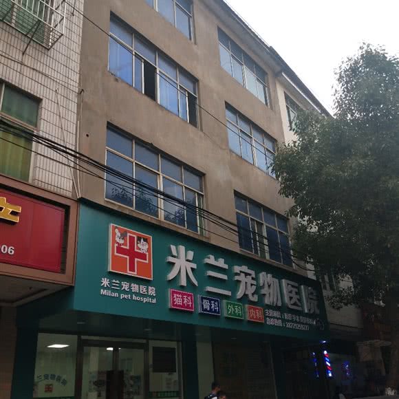 米兰宠物医院:九江市都昌县
