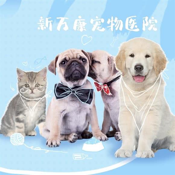 新万康动物医院:北京城区朝阳区东坝附近