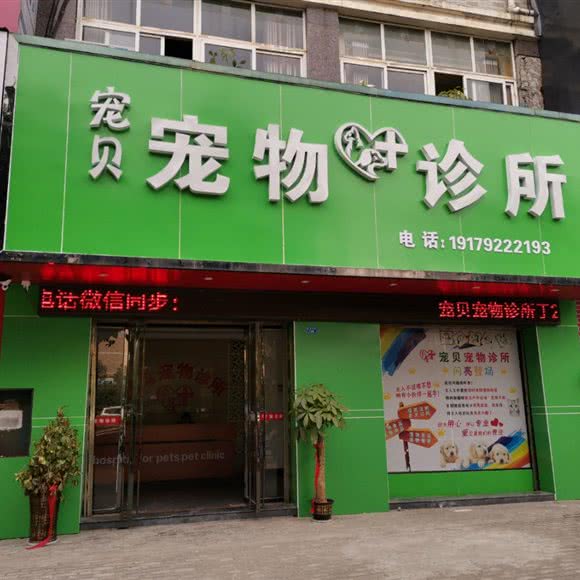 宠贝宠物诊所:九江市瑞昌市