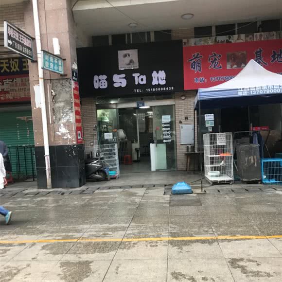喵与Ta她:新余市渝水区