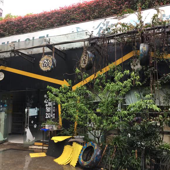 欲宠:新余市渝水区