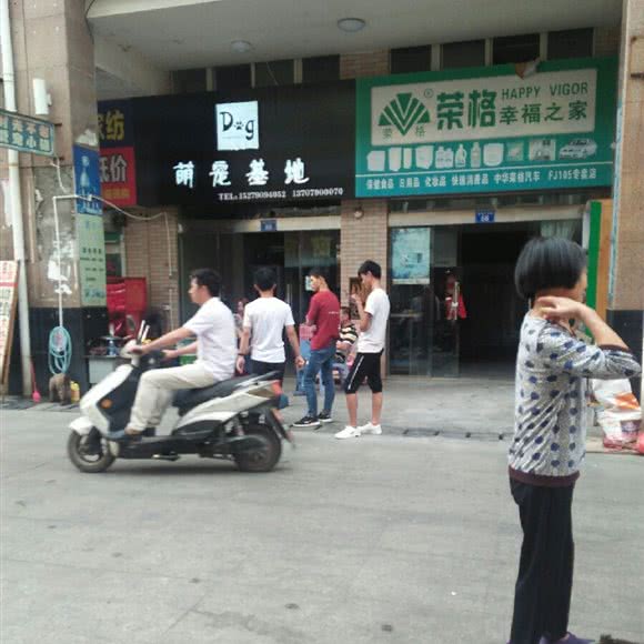 萌宠基地:新余市渝水区