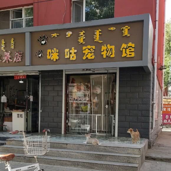 咪咕宠物馆:呼和浩特市新城区鼓楼附近