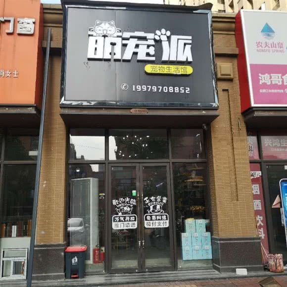 萌宠派宠物生活馆:赣州市章贡区