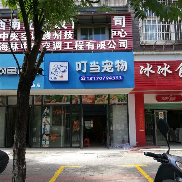 叮当宠物:赣州市章贡区