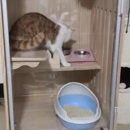 黛薇与妙妙:赣州市章贡区