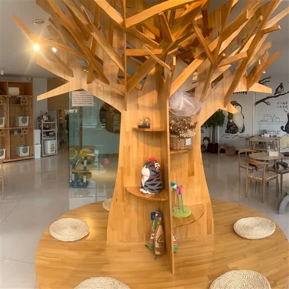 吾皇猫咖:呼和浩特市新城区鼓楼附近