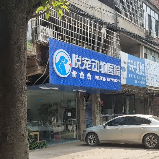 悦宠动物医院:赣州市章贡区