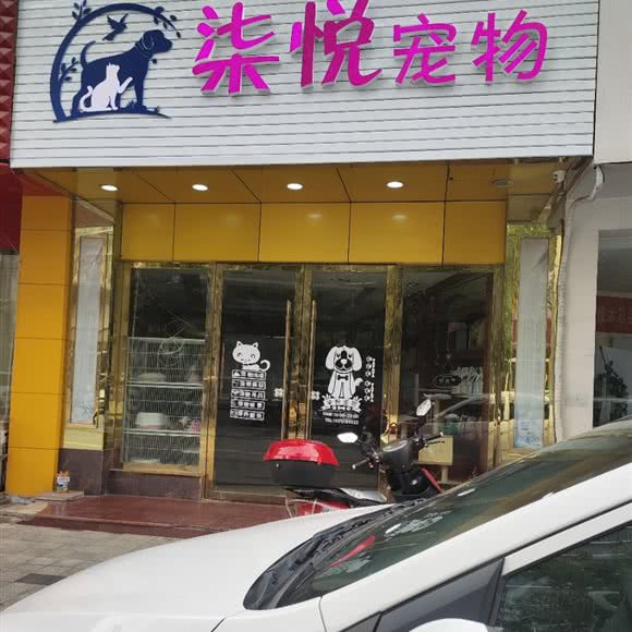 柒悦宠物狗:赣州市南康区