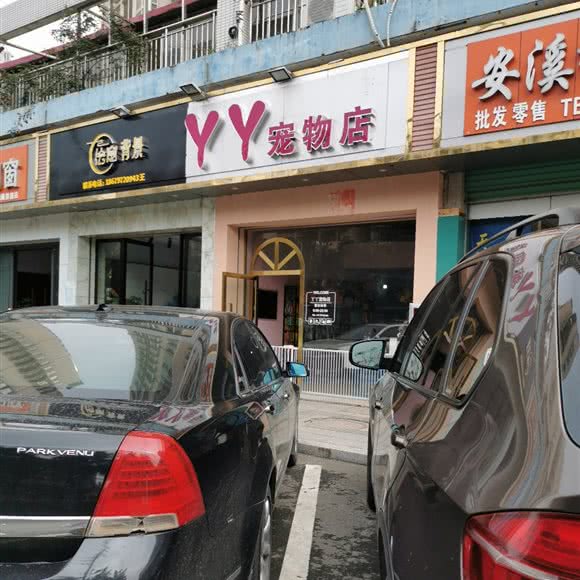 YY宠物店:赣州市南康区