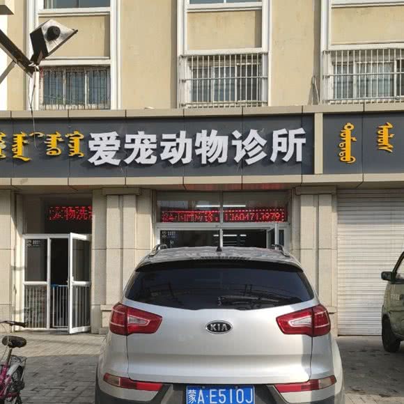 爱宠动物诊所:呼和浩特市新城区鼓楼附近