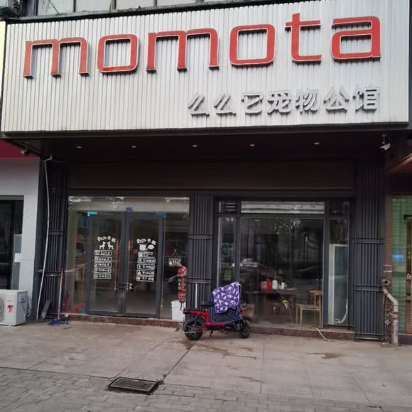 么么它宠物公馆:赣州市南康区