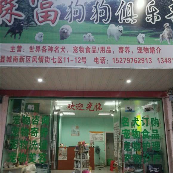 森富狗狗俱乐部:赣州市赣县区