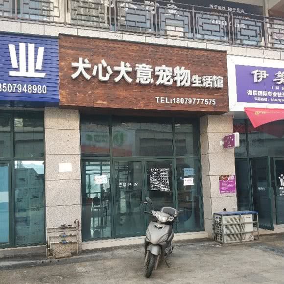 犬心犬意宠物生活馆:赣州市赣县区