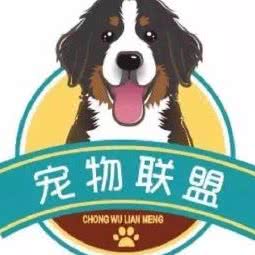 大余奇宝宠物诊所:赣州市大余县