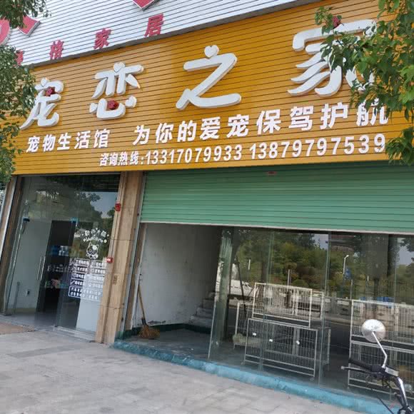 宠恋之家:赣州市安远县