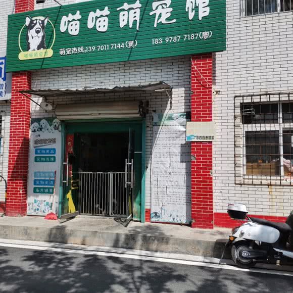 喵喵萌宠馆:赣州市定南县