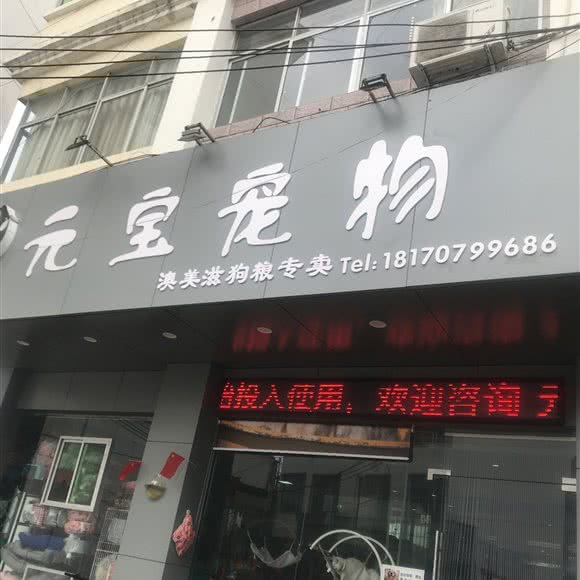 元宝宠物医院:赣州市定南县