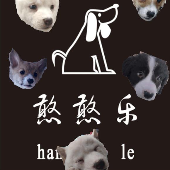 憨憨乐diy:呼和浩特市回民区海亮附近