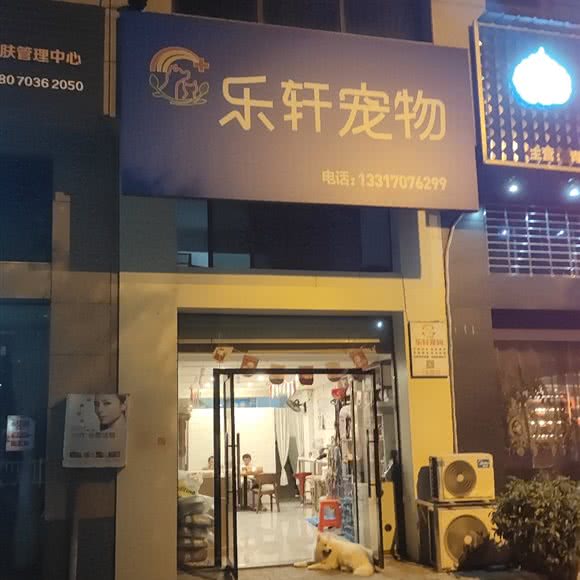 乐轩宠物:赣州市兴国县