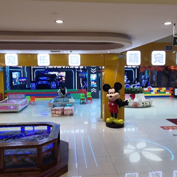 萌宠乐园:赣州市兴国县