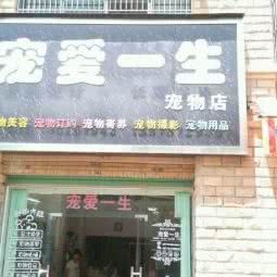 宠爱一生宠物店:赣州市寻乌县