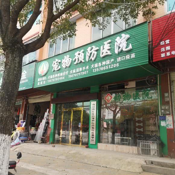 宠物医疗预防:赣州市瑞金市
