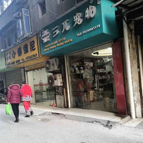 三兀宠物狗:吉安市吉州区